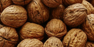 I will buy walnuts in small and large wholesale