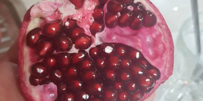 Ruby pomegranate The highest quality of Iranian gardens with