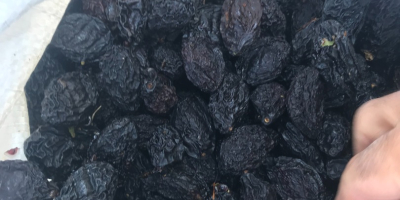 I sell prunes in a gas dryer, very tasty