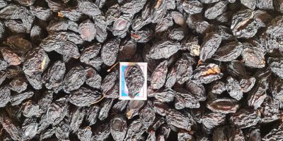 Sell organic prunes with and without symbols negotiable price