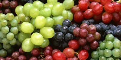 I am selling white and black grapes for wine,