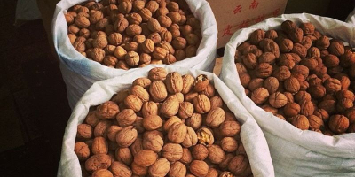 I will buy a walnut (walnut) small and big