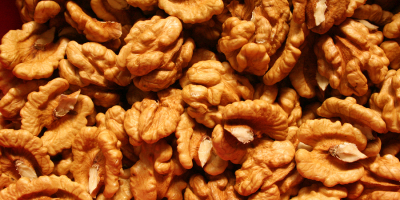 We buy walnuts (walnuts) in any quantities (from 200