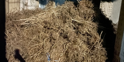 I am selling large bundles of dried dill for