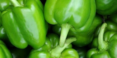 I have green peppers for sale, ground quantity of