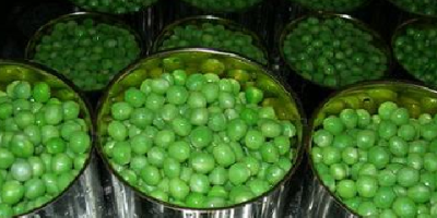 Продајем зелени грашак у конзерви (400 г). Различите количине