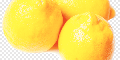 Słodka cytryna, zwana też limonką, śródziemnomorska limonka, słodka limonkowa