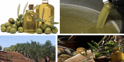 Оливковое масло Тунис оптом