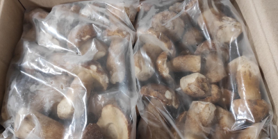 Frozen mushrooms first quality i have around 15 tons