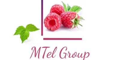 Bună ziua, Mtel Fruit Group, un grup de companii