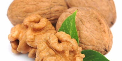 We buy walnuts in Khmelnitsky, Kiev, Poltava regions from
