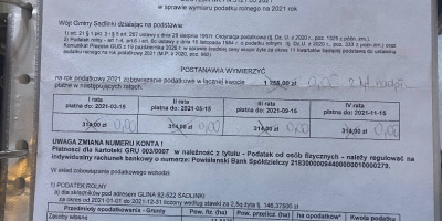 O sa vind morcovi, frumosi si sanatosi. 0,80 PLN