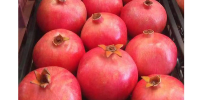 Frische Granatäpfel Spezifikation Verfügbare Sorten:- Granada Granatapfel Geschätzte Anzahl