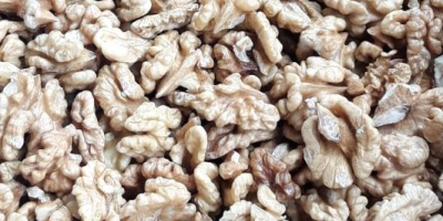 SELL FRESH FRUITS FRESH NUTS WALNUTS, PRICE - INTERNATIONAL AGRICULTURAL EXCHANGE, Agro-Market24