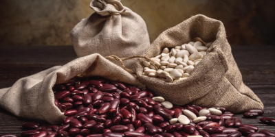 Vânzarea de fasole de înaltă calitate Compania Beans Natur