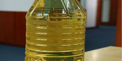 Palmkernöl wird aus dem Kern der Ölpalmfrucht gewonnen. ...