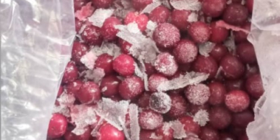 frozen blackberries and frozen strawberries, frozen fruits frozen figs