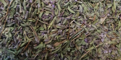 Thyme 100% natural Wholesale sales in- high volume