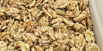 SELL FRESH FRUITS FRESH NUTS WALNUTS, PRICE - AGRICULTURAL EXCHANGE, Agro-Market24