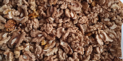 Salve, vendo 11 kg di noci di quest&#39;anno. Le