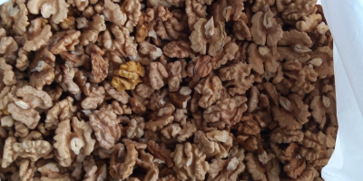 Salve, vendo 11 kg di noci di quest&#39;anno. Le