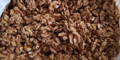 Salve, vendo 11 kg di noci di quest&#39;anno. Le