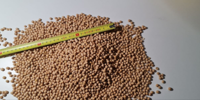 ГМО соја из Украјине Влага до 12% Протеини 36-38%
