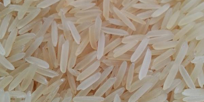 Мы производили жасминовый рис высшего качества, белый рис и