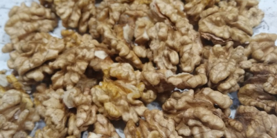 Vendo le noci spezzate di quest&#39;anno, molto gustose, con