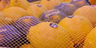 We will sell Spanish lemons. Very juicy. We invite!