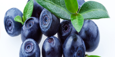 Blueberry Powder contain a small amount of vitamin C,