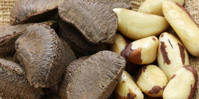 Almonds, Cashew Nuts, Pistachio Nuts, Hazel Nuts, Betel Nuts,