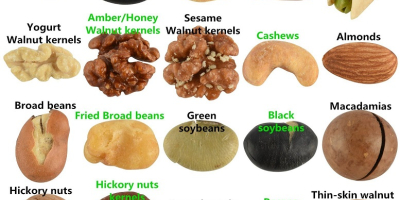 Mandeln, Cashewnüsse, Pistazien, Haselnüsse, Betelnüsse, Haselnüsse, Paranüsse, Pekannüsse, Pinienkerne,