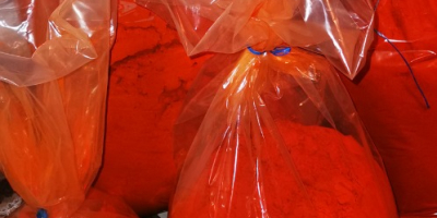 Paprika (süß) frisch gemahlen Eigene Produktion 2021 Lagerbestand verfügbar