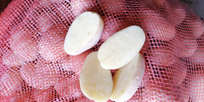 I will sell about 70 tons of consumption potatoes,