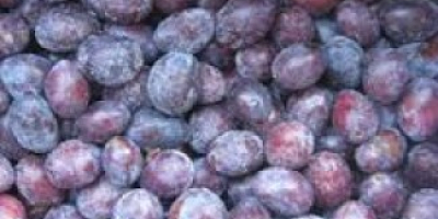 Selling frozen plums in bulk, caliber 35-45, we draw