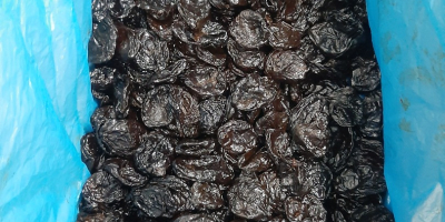 Dried prunes without pits are available from 1 ton