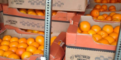 Hello, I am selling oranges for sorting. After a