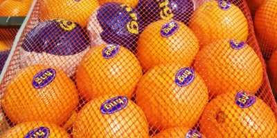 SELL INDUSTRIAL FRUITS FRESH ORANGES, PRICE - AGRICULTURAL EXCHANGE, Agro-Market24
