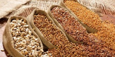 I buy beans, flax, sorghum, millet. - flax brown,