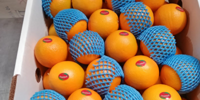 Valencia Orange Különleges ár Extra minőség