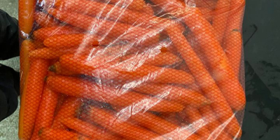 SELL FROZEN VEGETABLES FRESH CARROT, PRICE - AGRICULTURAL EXCHANGE, Agro-Market24