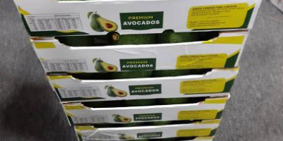 Hello, hass, fuerte avacado Available at a good price