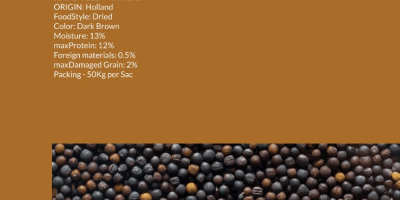 Semințe de rapiță grad A Origine:Brazilia Umiditate. :12% MOQ.