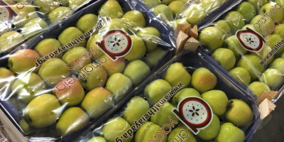 Disponibil Golden Delicious - clasa I, orice tip de