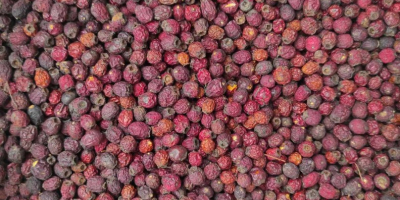 I will sell dried hawthorn berries, about 3 tons,