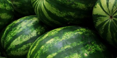 I will buy a watermelon, market quality