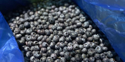 I will sell a frozen American blueberry. Country of