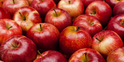 Gala is an apple variety consumed in many countries