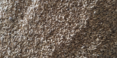 20 tons of ORGANIC UNCOOKED SPELT is sold. The